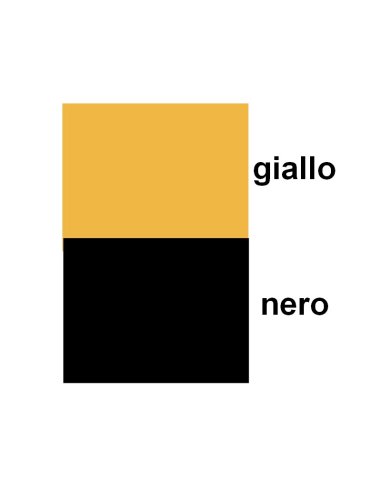 CASACCA SMANICATA CON ROUGES